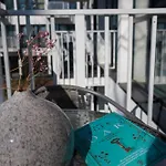 M&k Perla Sobieszewo - Wyspa Sobieszewska Apartman